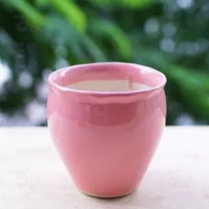 Chậu Gốm Sứ Cốc Miệng Loe